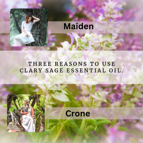 Reasons to use Clary sage essential oil.