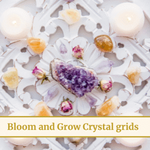 Bloom and Grow Crystal grids