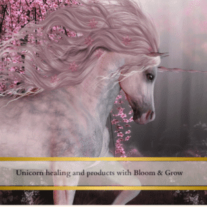 Unicorn healing and Unicorn products.