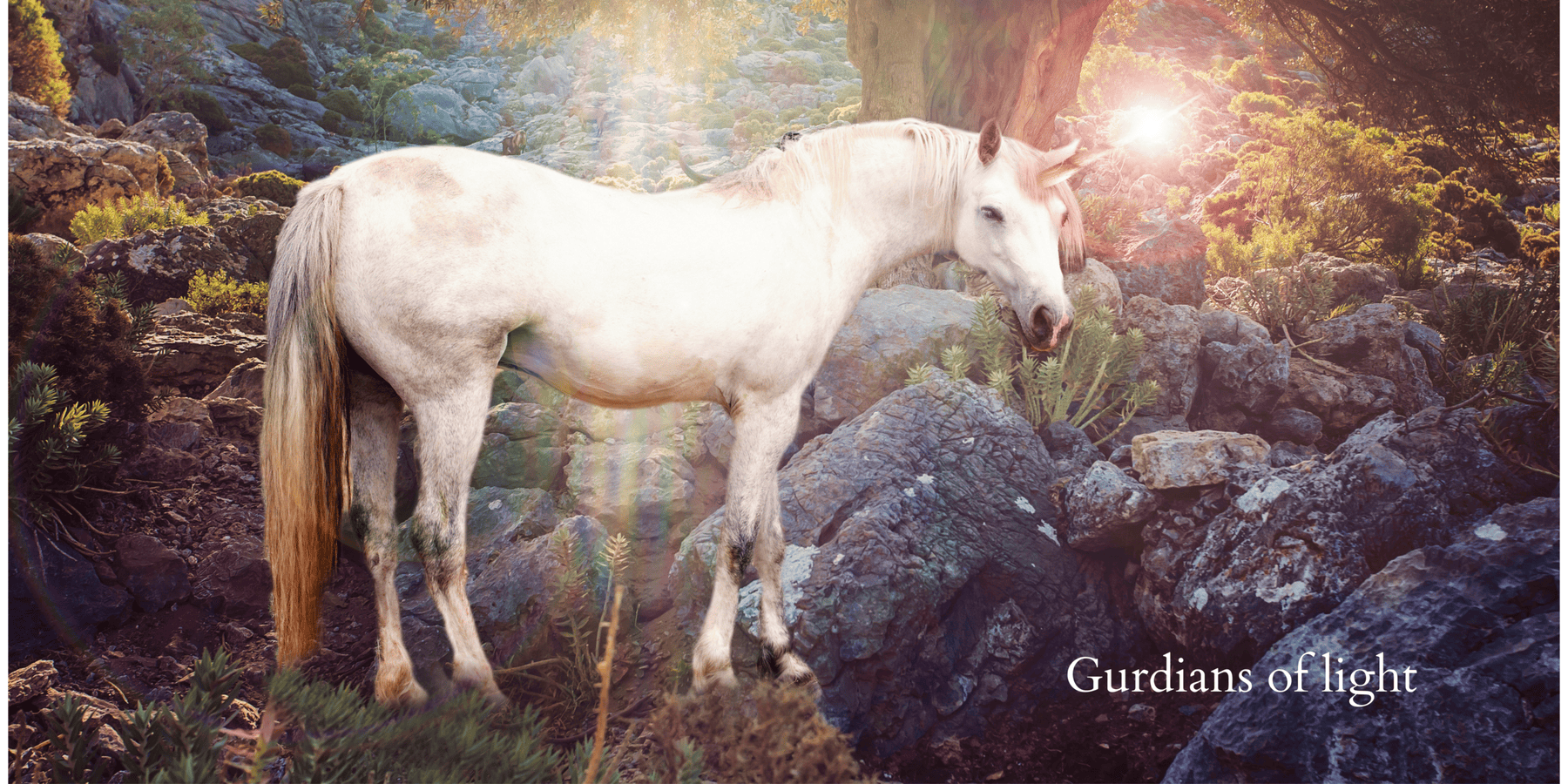 Gurdians of light-2