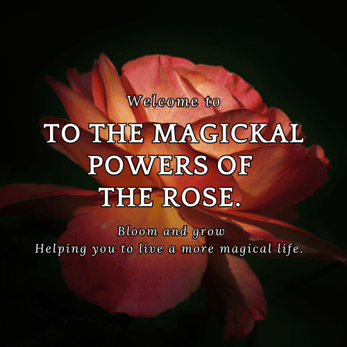 Holistic tips. -8