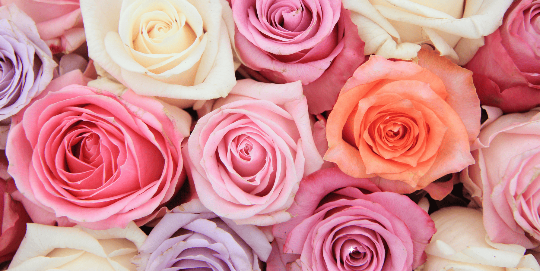 Roses