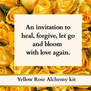Yellow Rose Alchemy kit - To help heal broken friendships